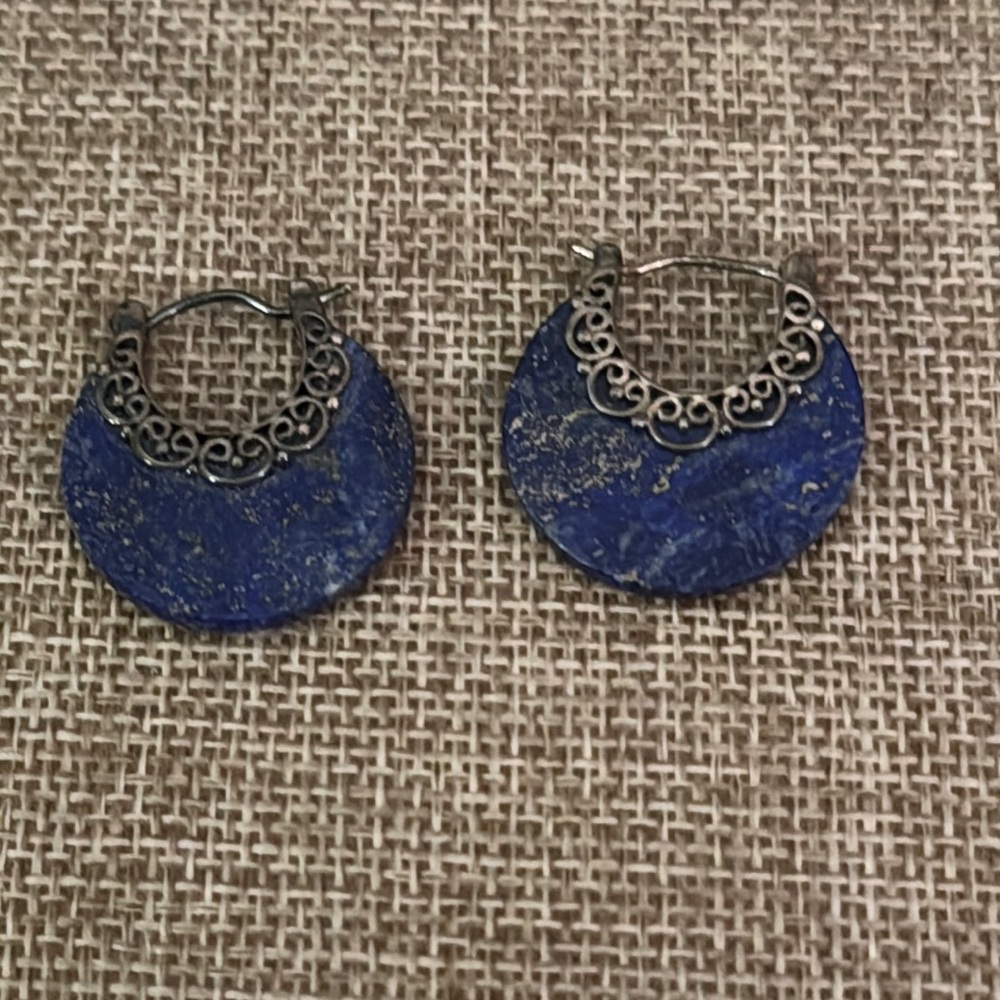 Elegant Blue and Silver Earrings